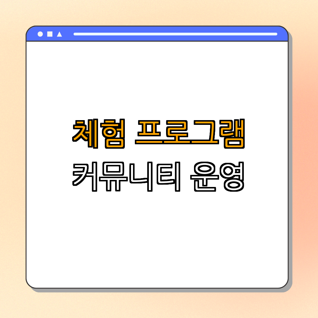 3. 체험활동 및 커뮤니티