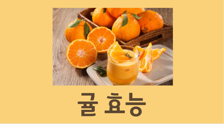  나만 모르는 귤 효능