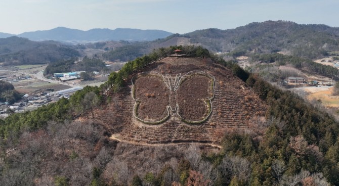 나비의-고장-함평