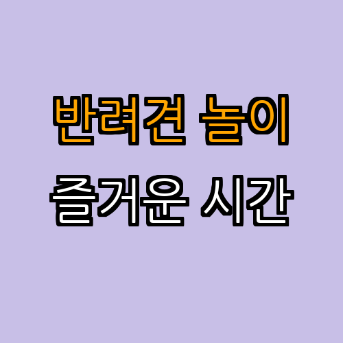 4. 대중적인 놀이법