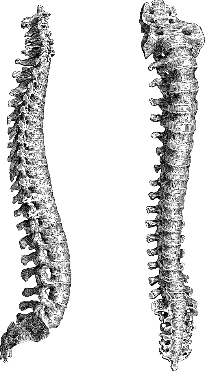 꼬리뼈 통증