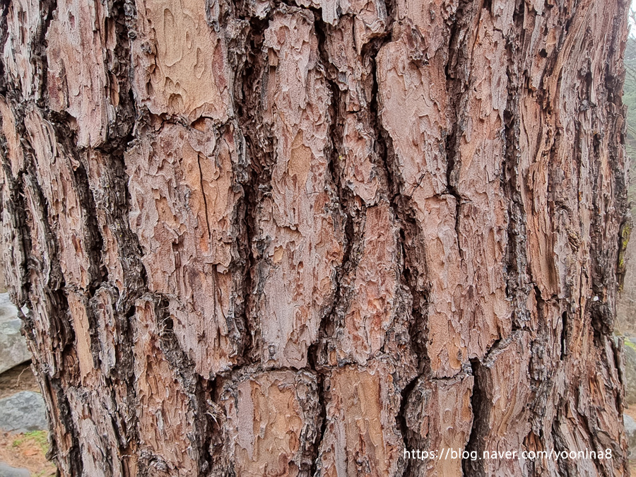 클라이밍 충남교육청 청소년지도사 22