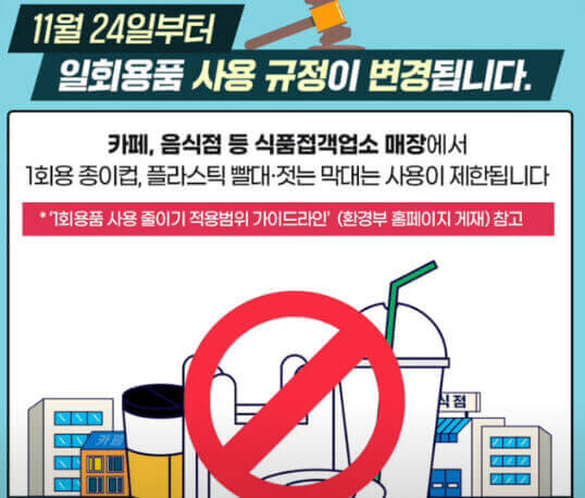  계도 기간 종료 11월 24일부터 일회용품 사용 규제