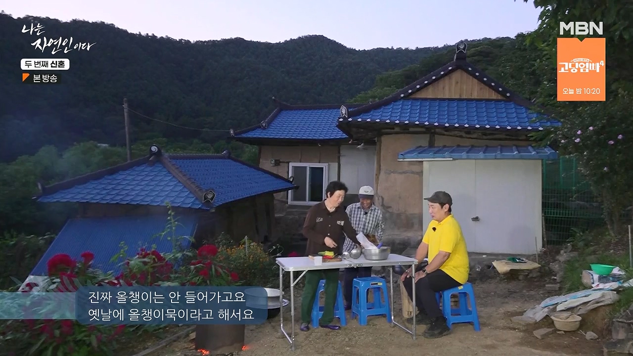 나는 자연인이다.E572.230921p-NEXT.mp4_20230921_202638.265.jpg