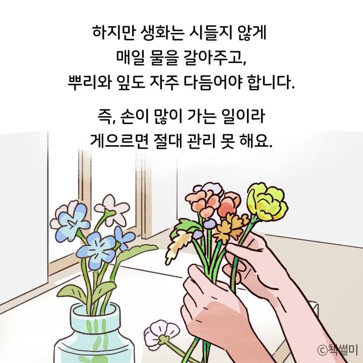 집 정리전문가가 말하는 드라마 부자들 집에서 보이는 3가지