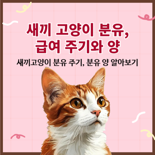 새끼고양이 분유 주기