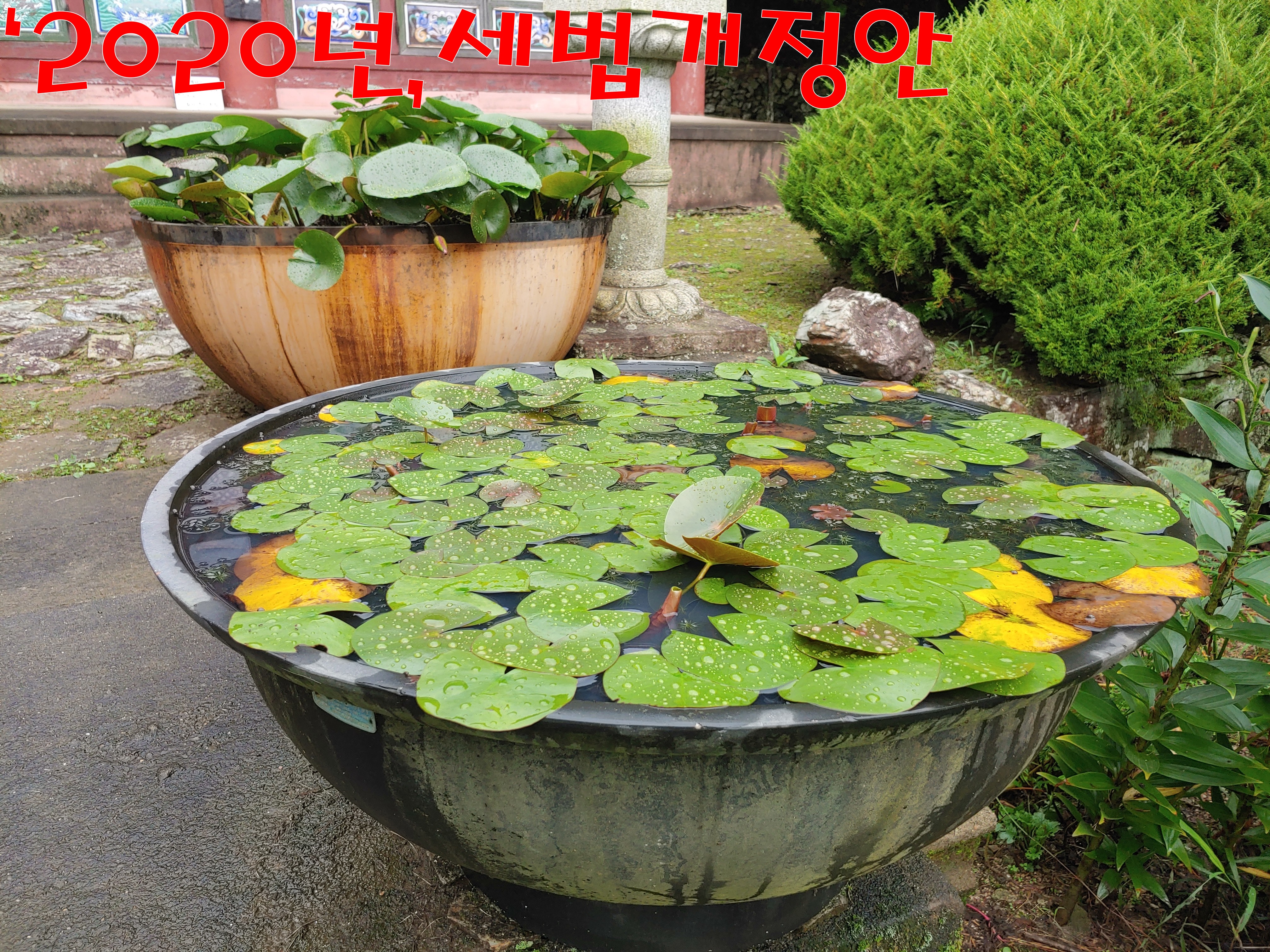  2020년, 세법 개정안, 간이과세자소득기준 8천만