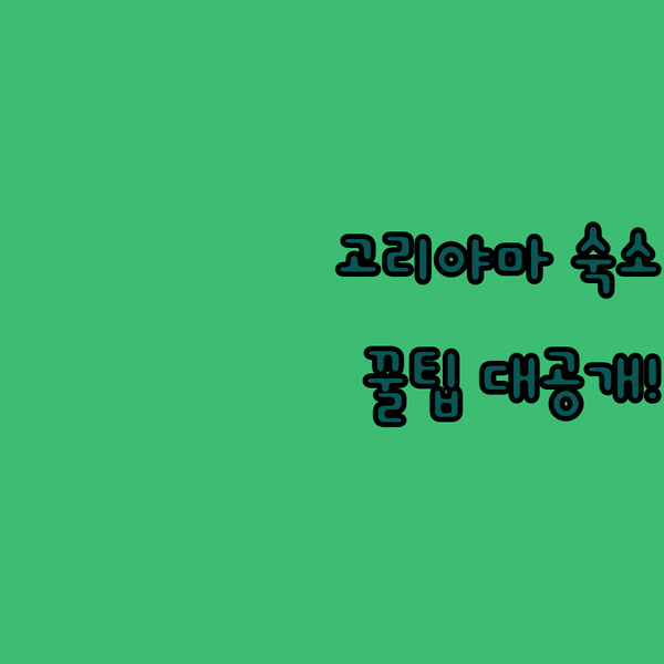 고리야마 여행 꿀팁! 저렴하지만 괜찮