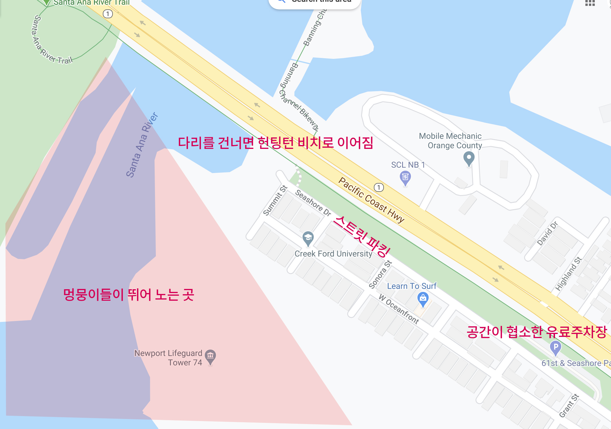 미국 도그 비치 DOG BEACH