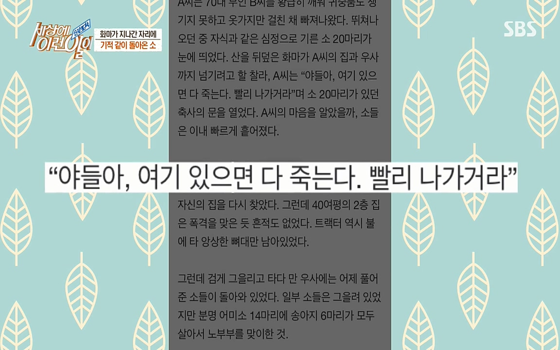 순간포착 세상에 이런일이.E1174.220406p-NEXT.mp4_20220406_173942.397.jpg