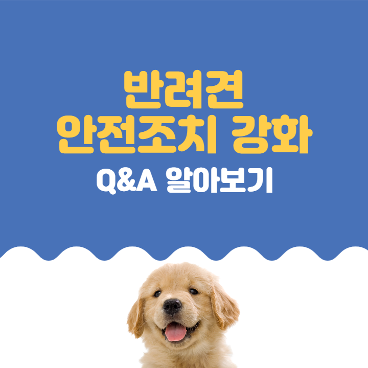 강아지 사진이 포함된 반려견 안전조치 강화 Q&A 알아보기 포스터 사진