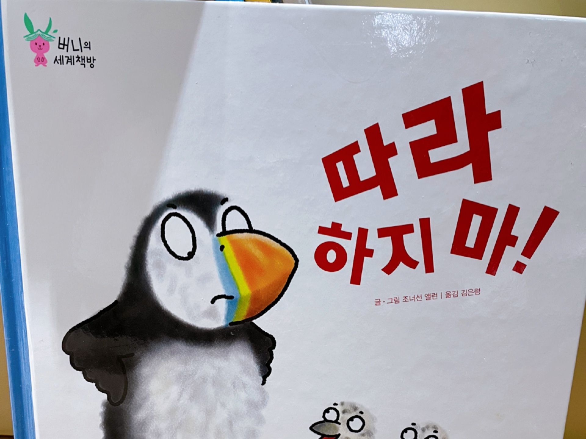 버니 이미지