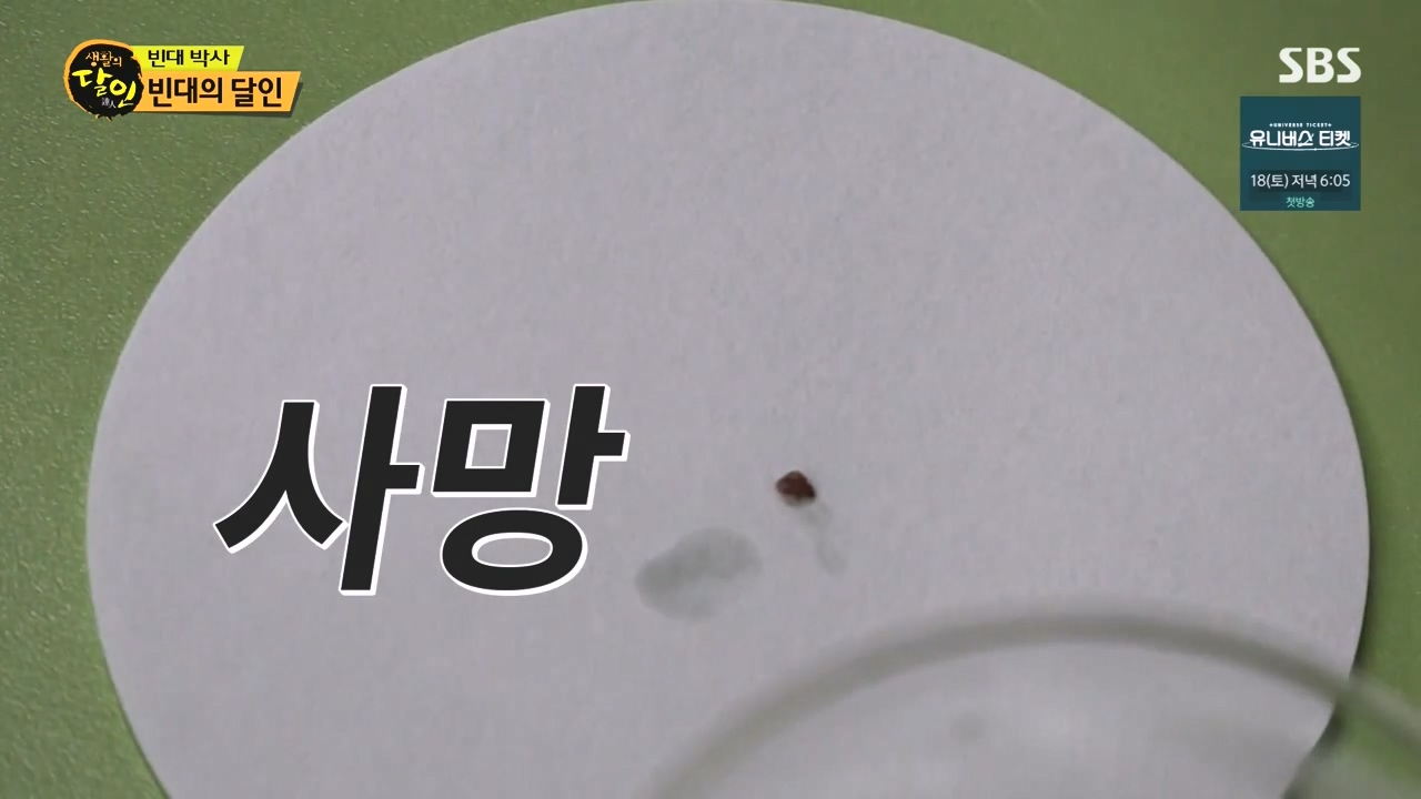 생활의 달인.E911.231114p-NEXT.mp4_20231114_200430.912.jpg