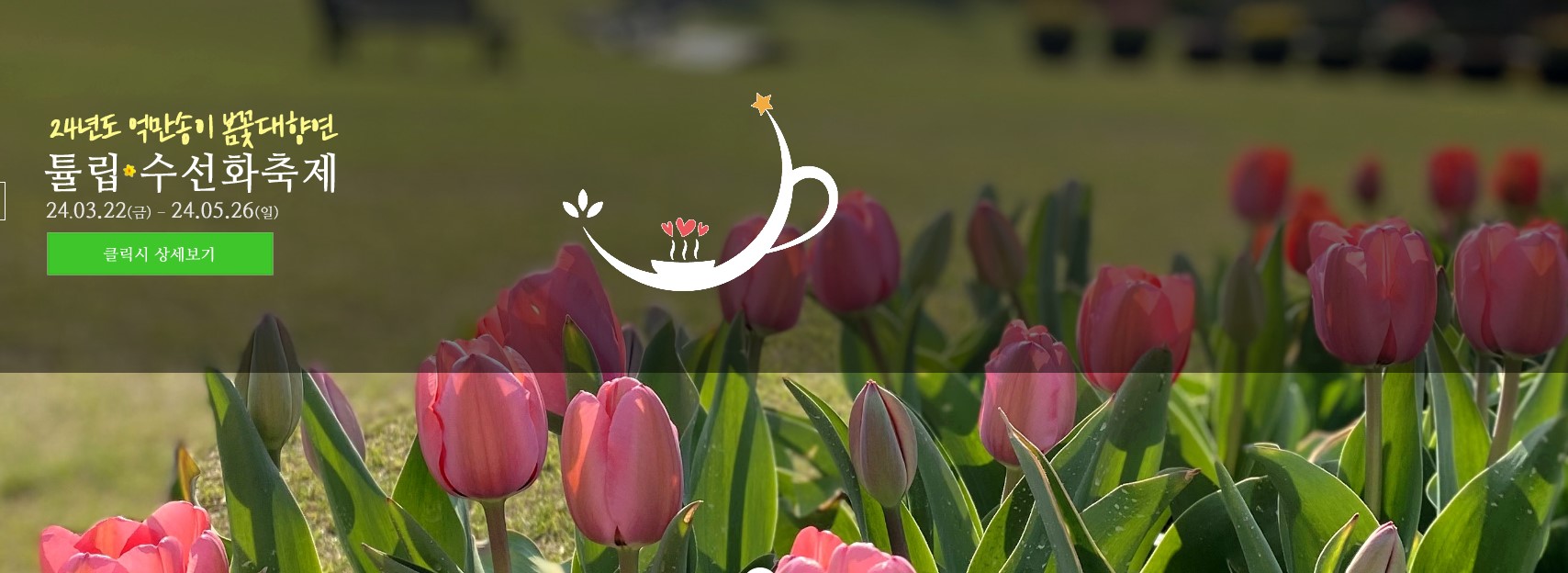 억만송이 봄꽃대향연 튤립 수선화 축제 일정 기본정보 프로그램 주차장 총정리
