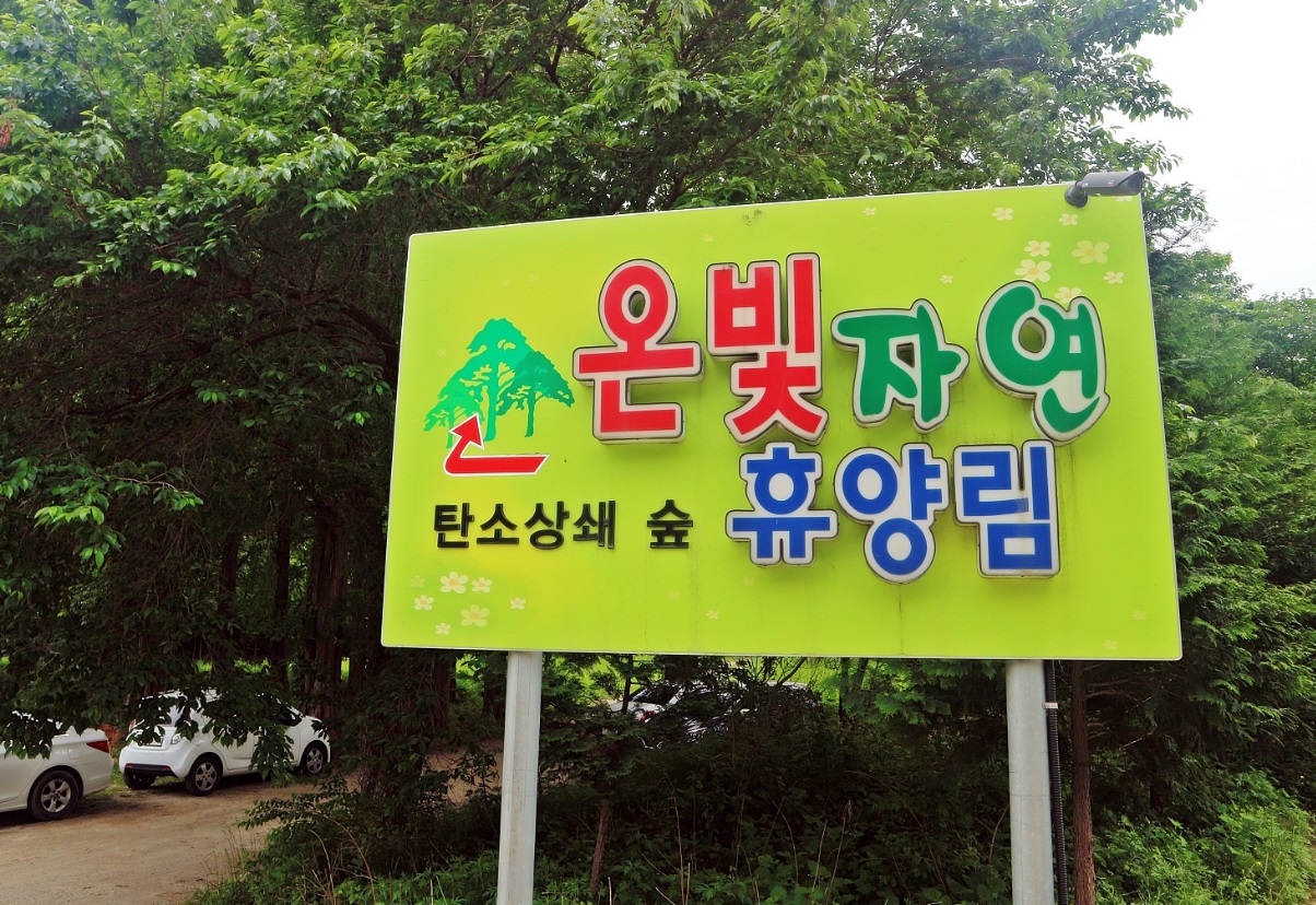 온빛 이미지