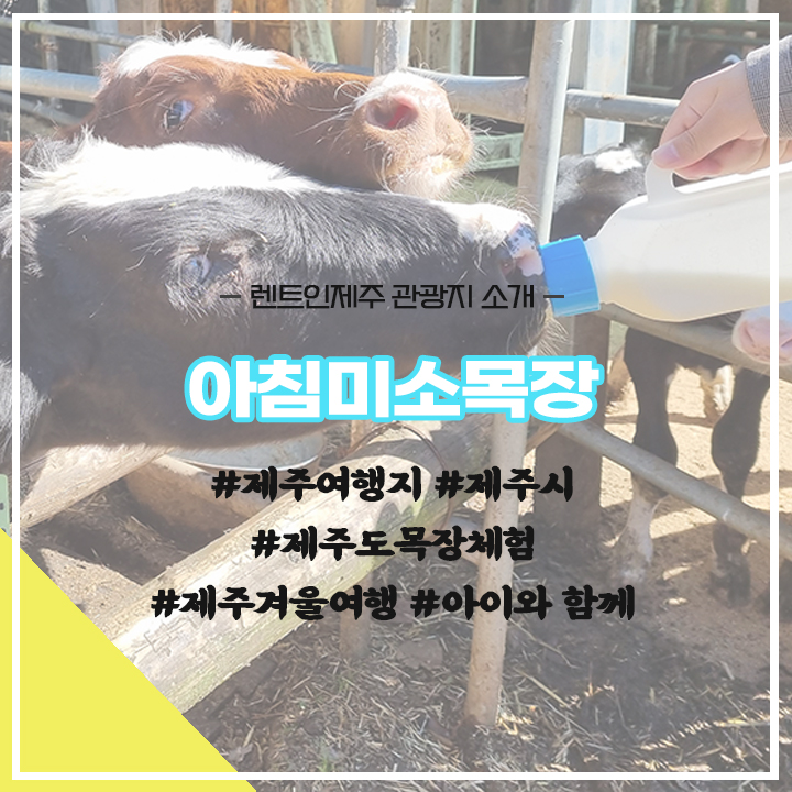 미소렌트카주 이미지