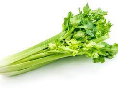 샐러리 효능 10가지 10