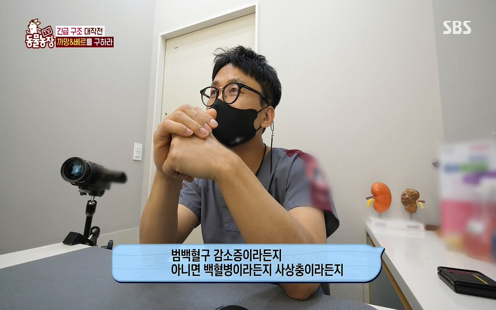 TV 동물농장.E1073.220612p.H264-F1RST.mp4_20220612_181354.371.jpg