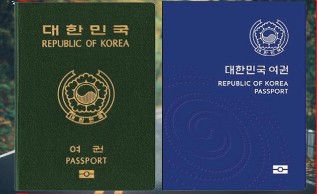  65세 이상 복수국적/이중국적 신청
