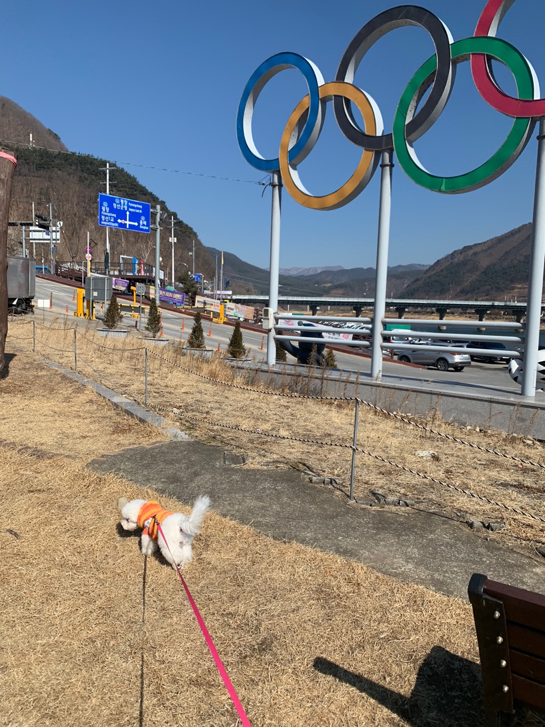정선 아라리공원(88올림픽기념) 모습(15)
