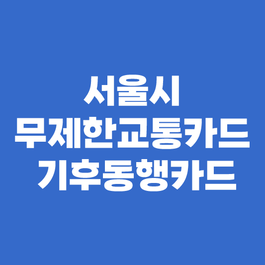 서울시 무제한 교통카드 기후동행카드 이용방법