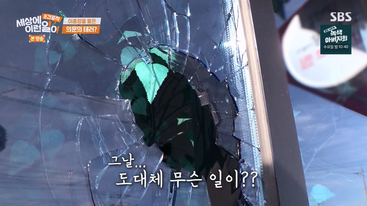 순간포착 세상에 이런일이.E1250.231029p-NEXT.mp4_20231029_153359.404.jpg