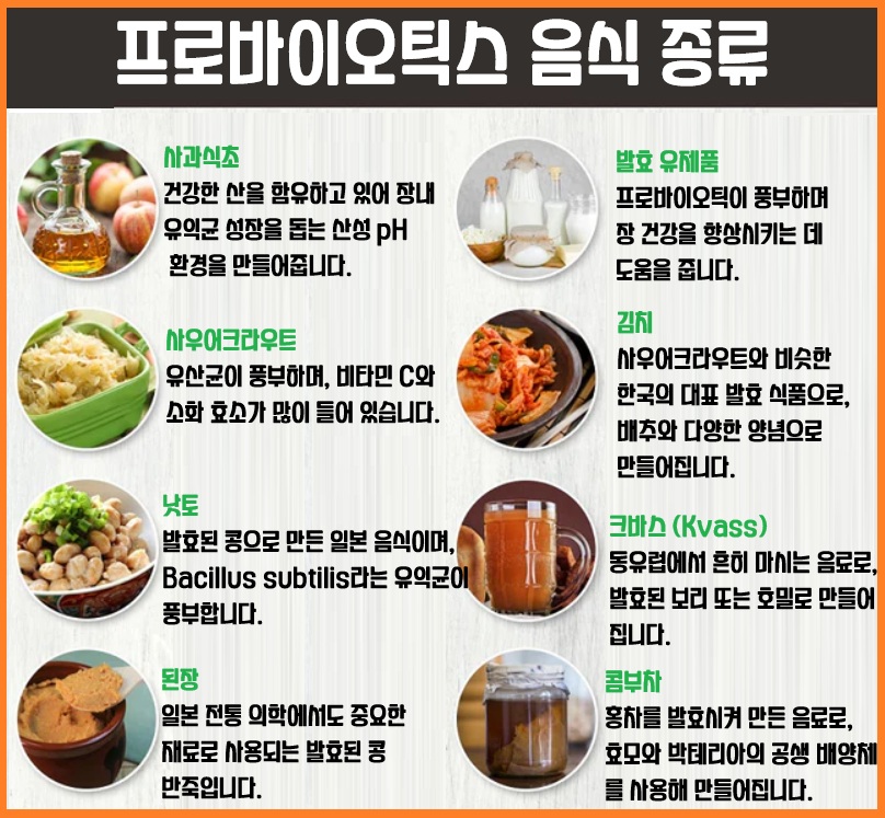 프로바이오틱스 음식 종류