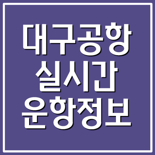  대구공항 실시간 운항정보