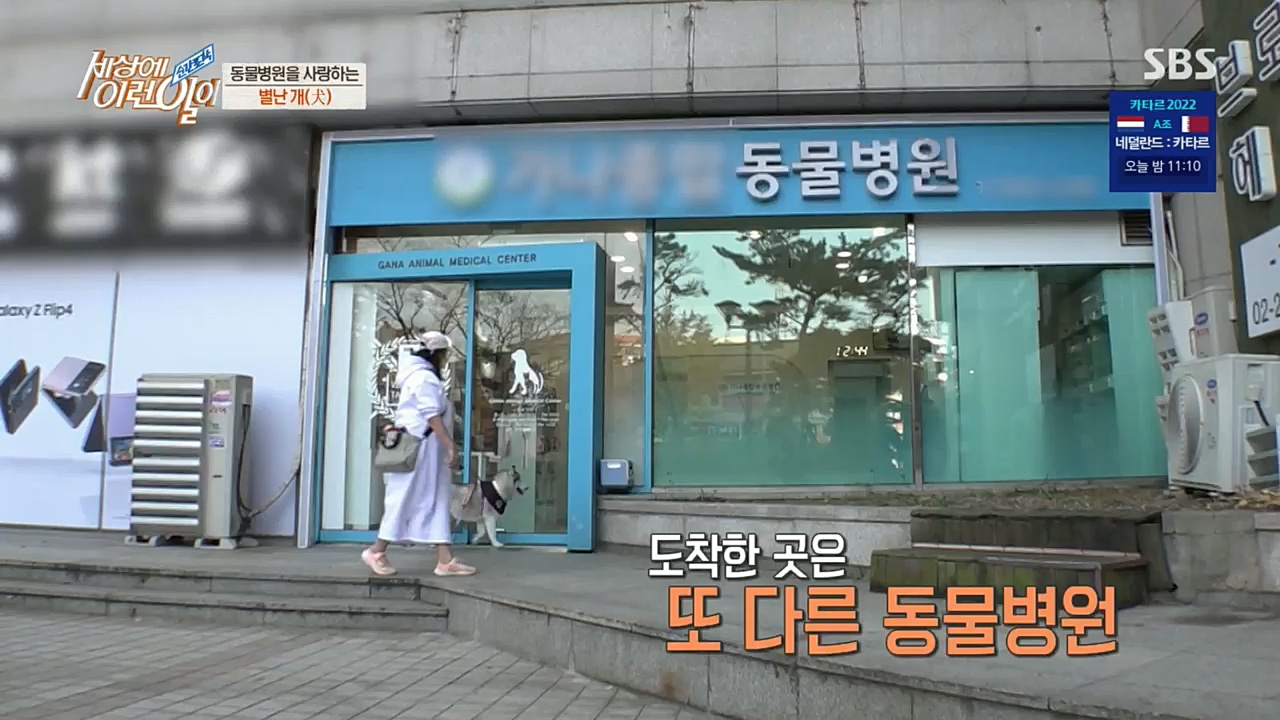 순간포착 세상에 이런일이.E1207.221130p.H264-F1RST.mp4_20221130_195700.383.jpg
