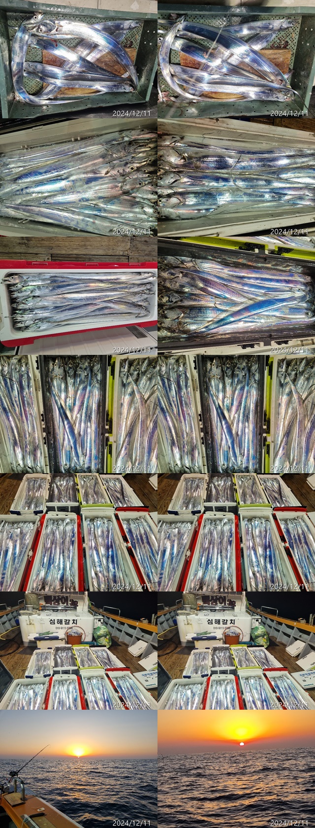 img.jpg