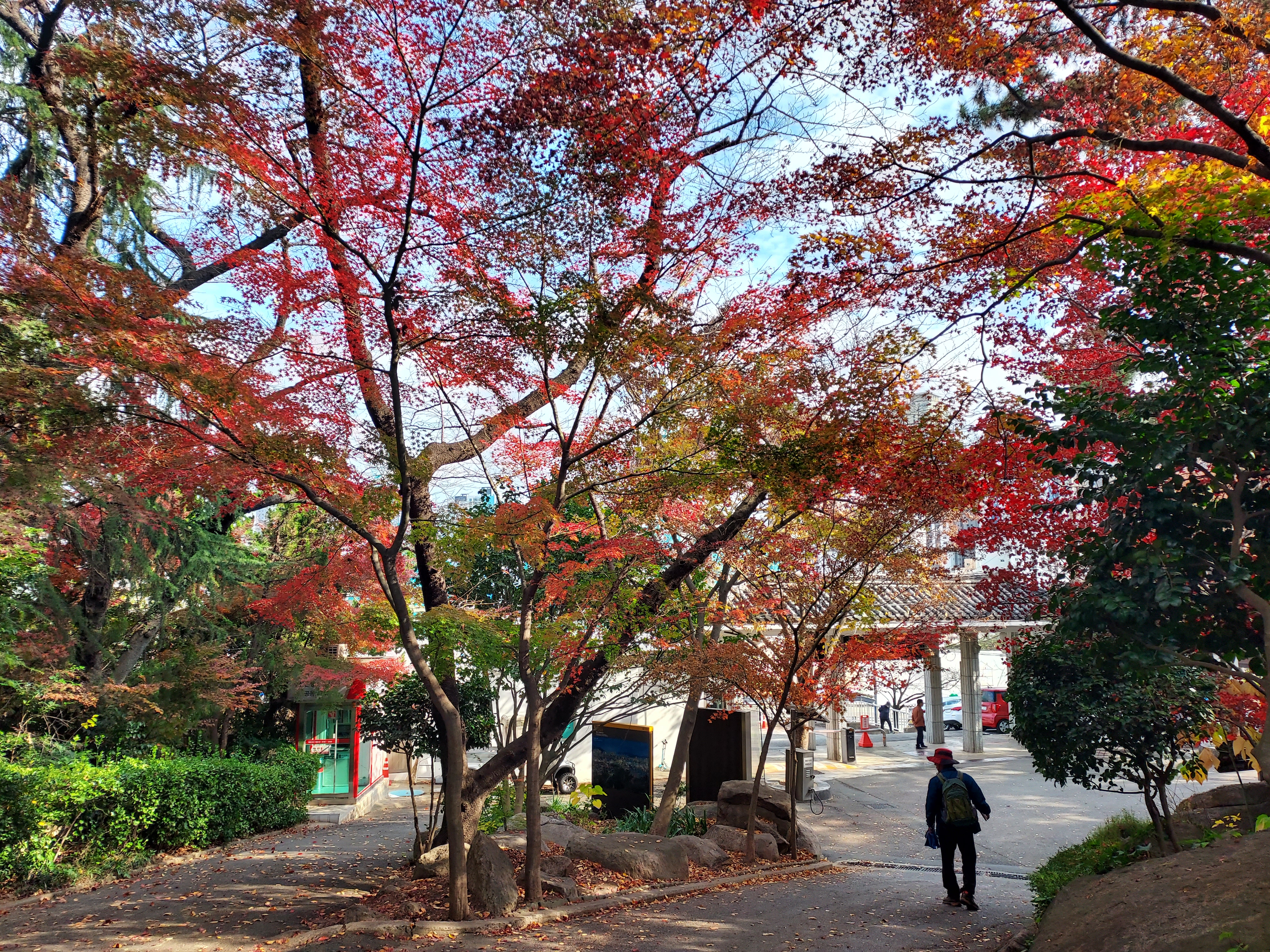 금강 사진 5