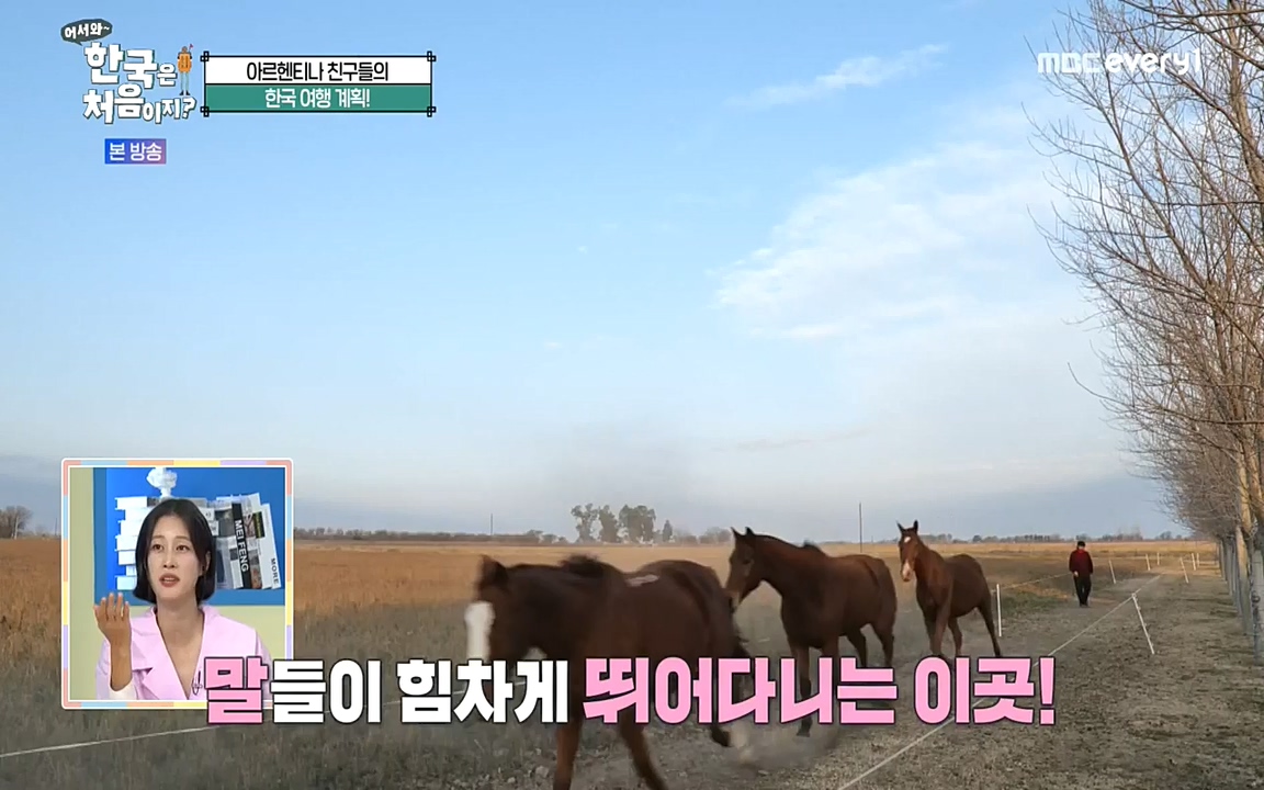 어서와 한국은 처음이지 시즌2.E227.220909p-NEXT.mp4_20220909_193950.391.jpg