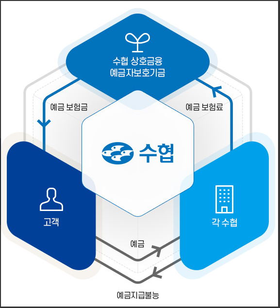  지역수협 준조합원 가입하고 저율과세 예금 가입하기 (수협 파트너뱅크 앱)