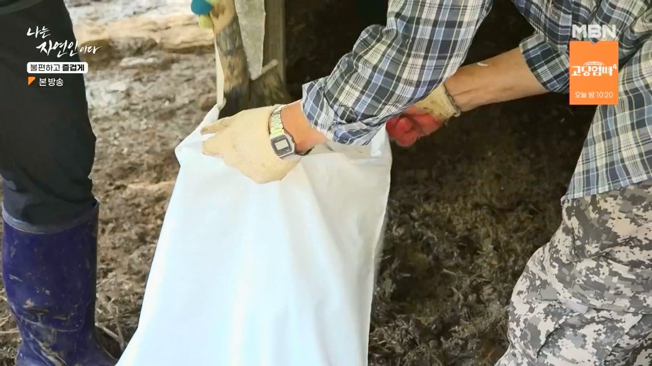 나는 자연인이다.E566.230810p.WANNA.mp4_20230810_202558.997.jpg