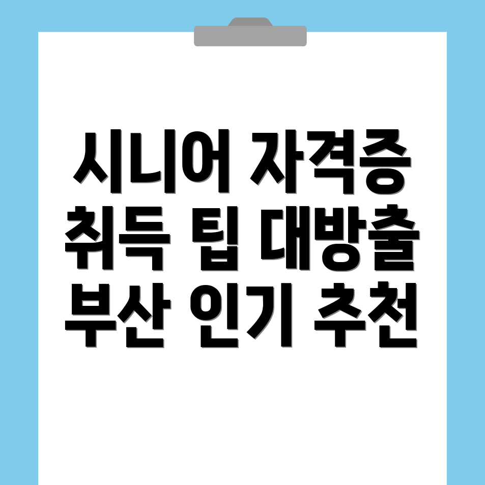 시니어 자격증