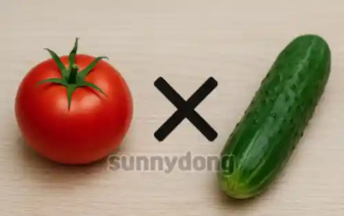 토마토와 궁합이 안 좋은 오이 이미지