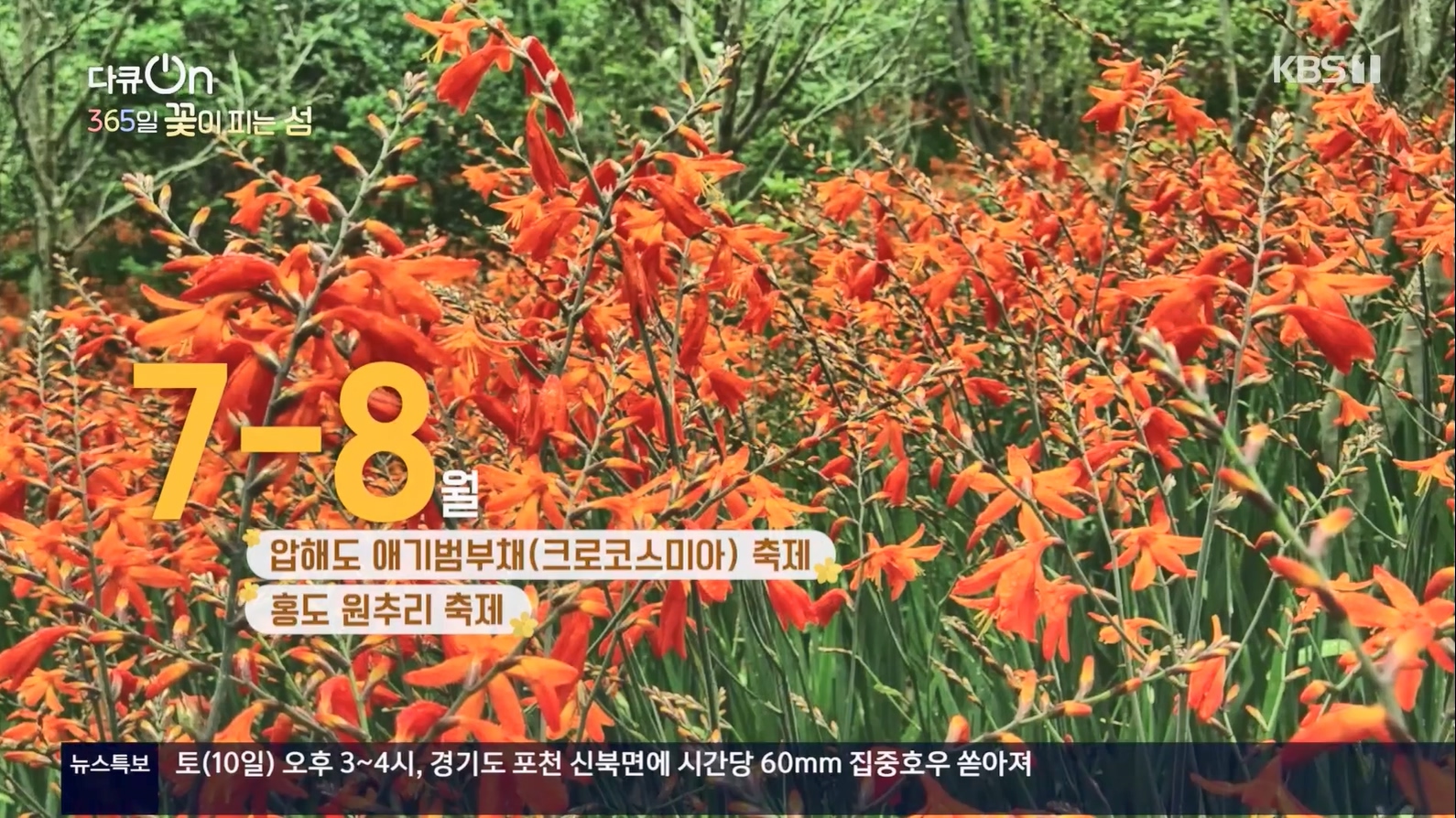 다큐 On.E201.230610p.H264-F1RST.mp4_20230611_164707.959.jpg