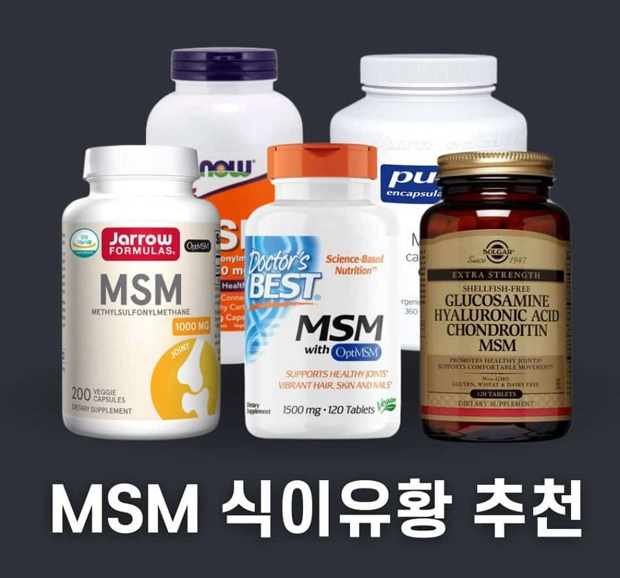 msm 식이유황 추천