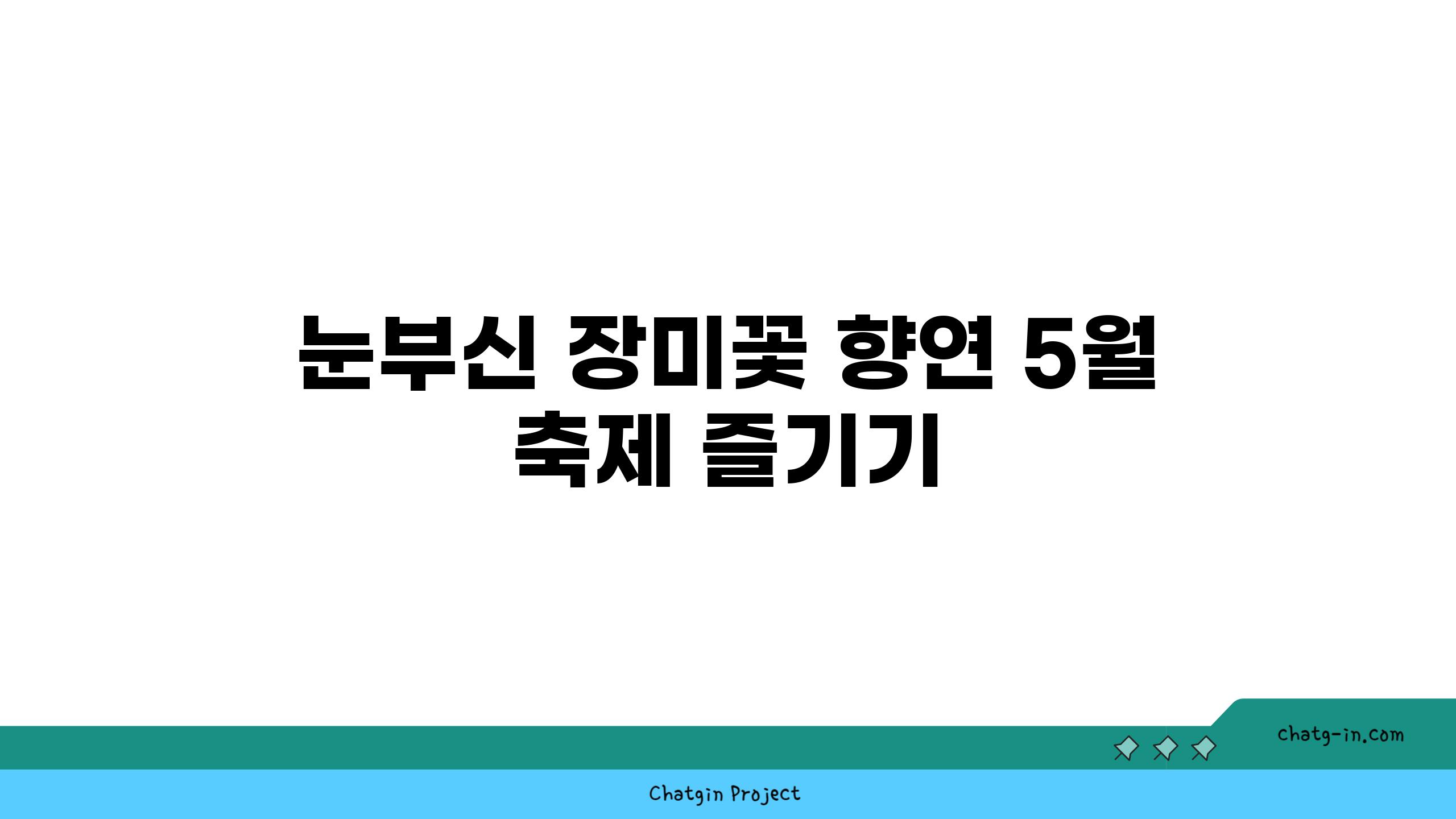 눈부신 장미꽃 향연 5월 축제 즐기기