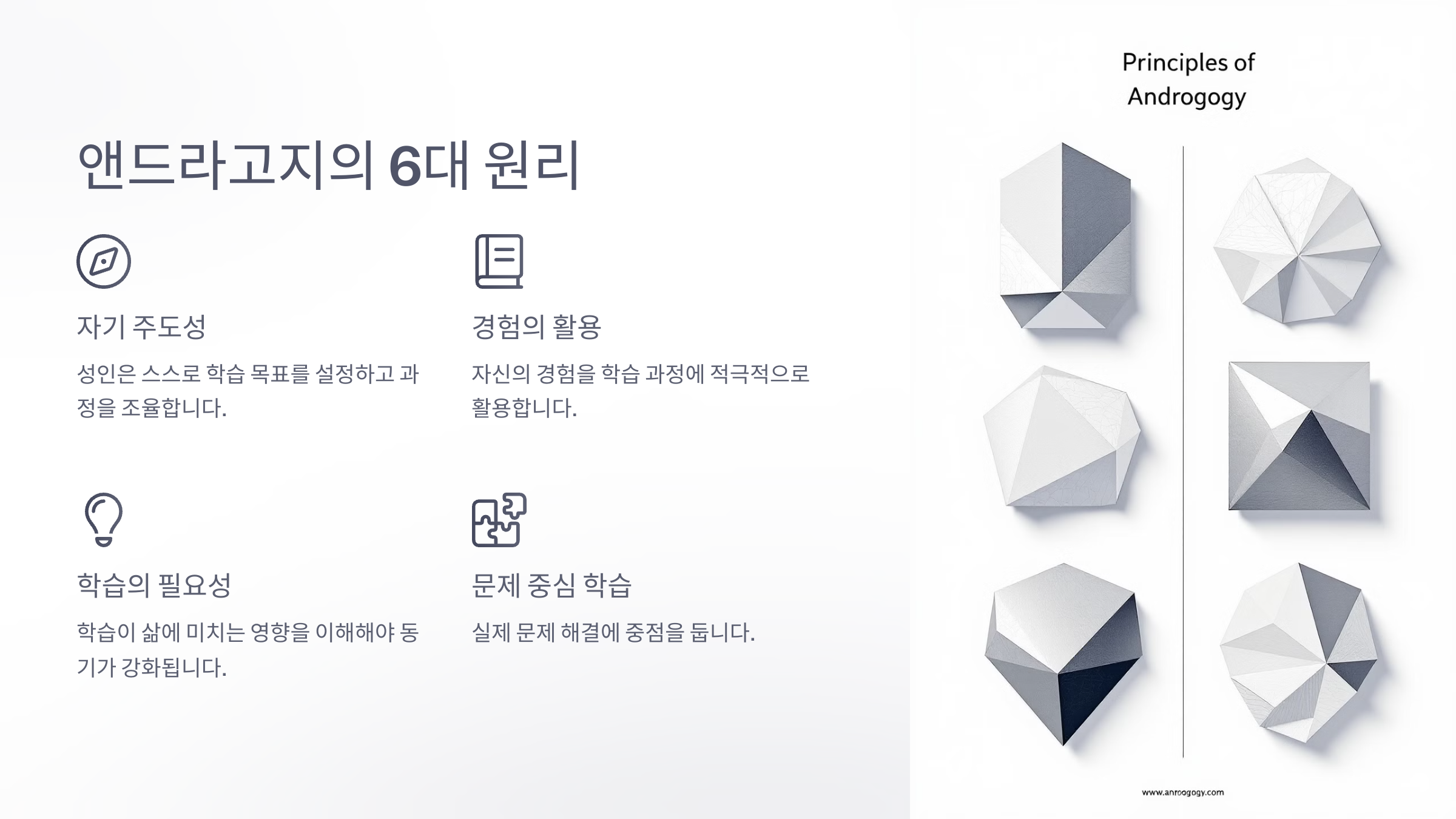 앤드라고지란?