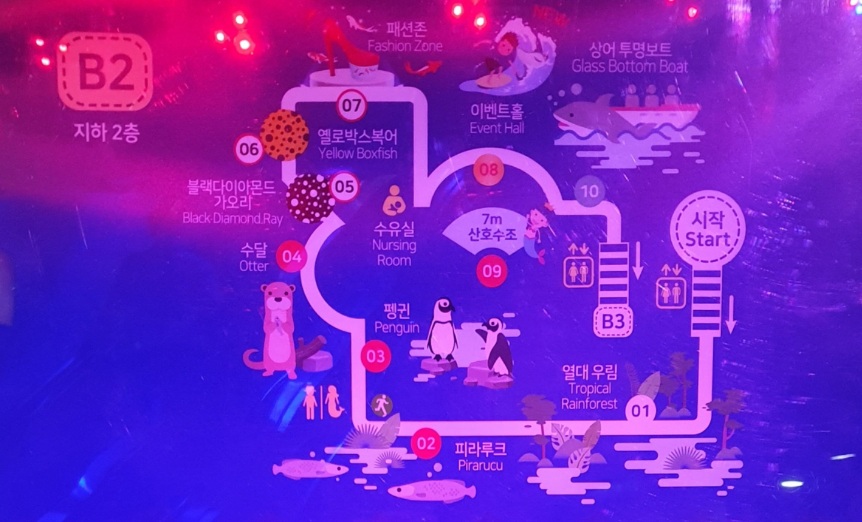 맵추천