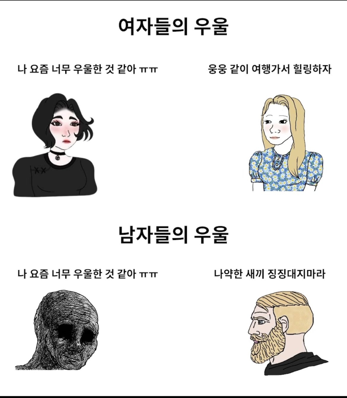 img.jpg