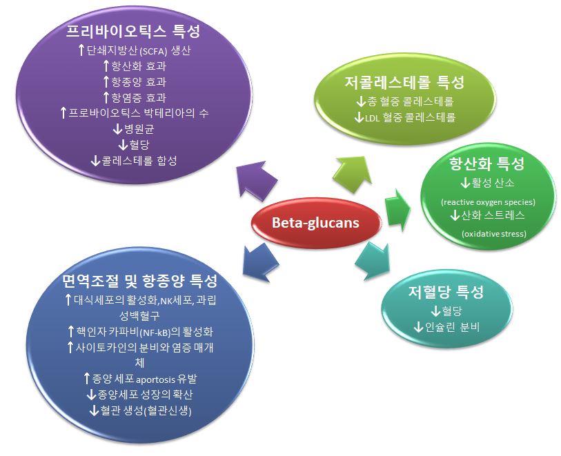  혈당,콜레스테롤 조절에 좋은 베타글루칸 효능 부작용 하루권장량