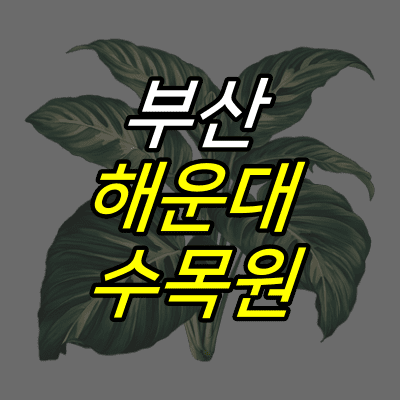 식물-그림-위에-부산-해운대-수목원-글자가-적혀있다.