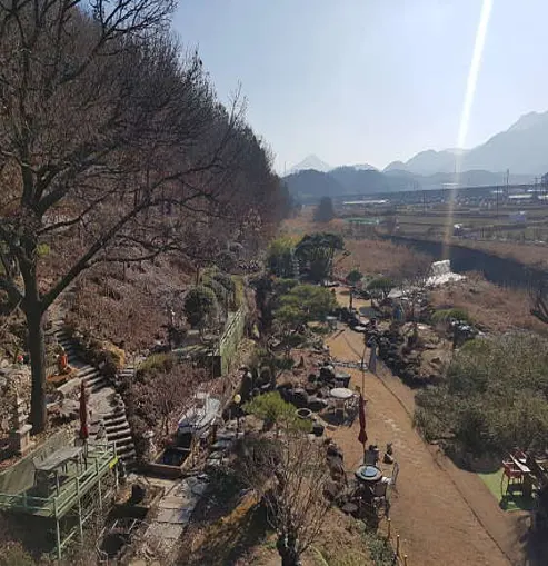 커피와소나무