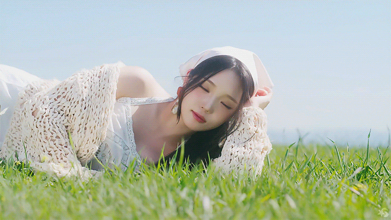 img.gif
