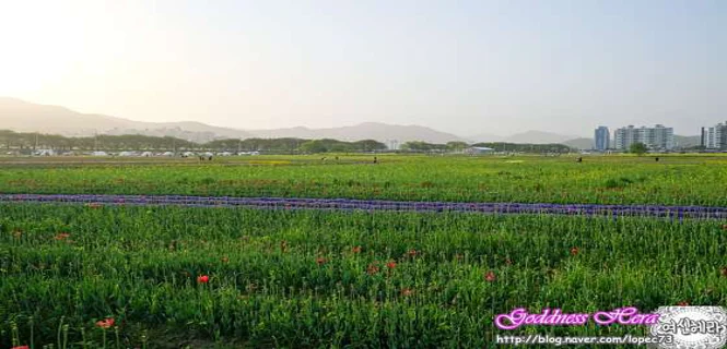 생초국제조각공원