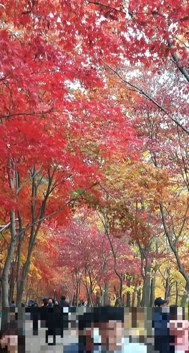 입곡저수지-가을