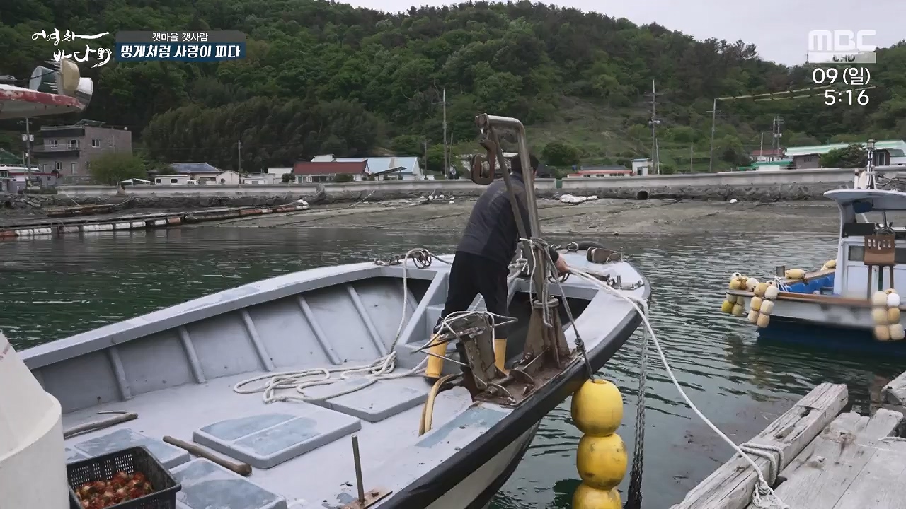 MBC 네트워크 특선 푸른백세 어영차 바다야.E1684.240610p-NEXT.mp4_20240611_203115.452.jpg