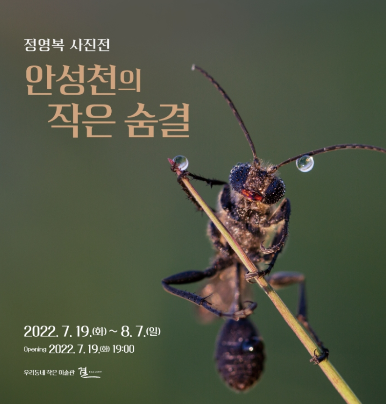 포스팅 썸네일 이미지